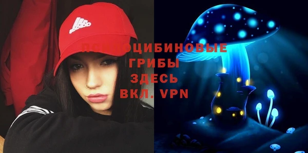 мдпв Абинск