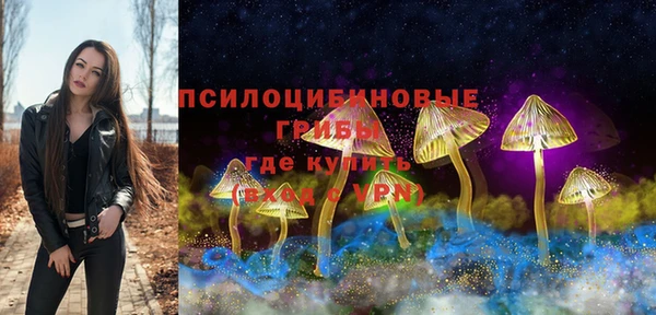 соль ск Абдулино