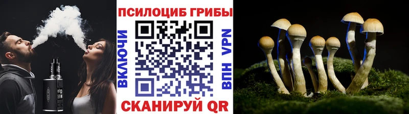 Галлюциногенные грибы мицелий  маркетплейс состав  Каменногорск 